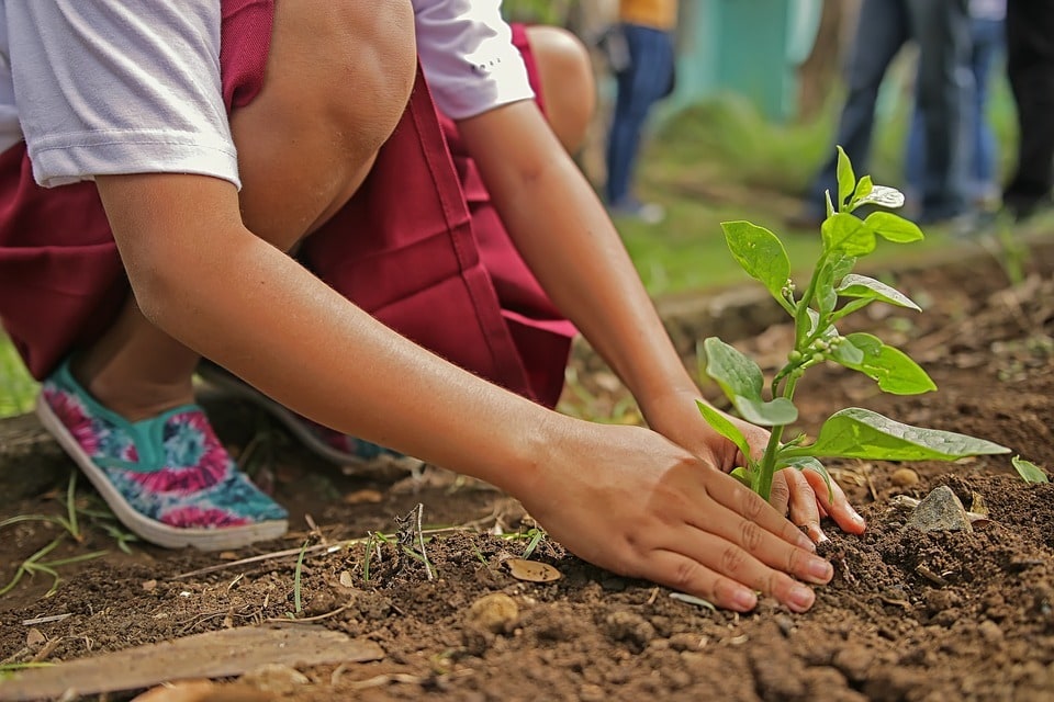 Les bases pour arroser son jardin sans se tromper